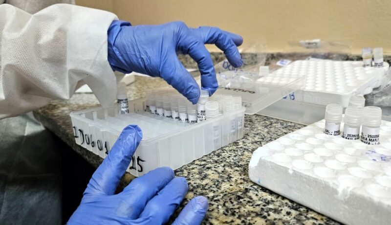 Sem novos vírus, mas com alta de casos: Manaus enfrenta aumento sazonal de síndromes respiratórias