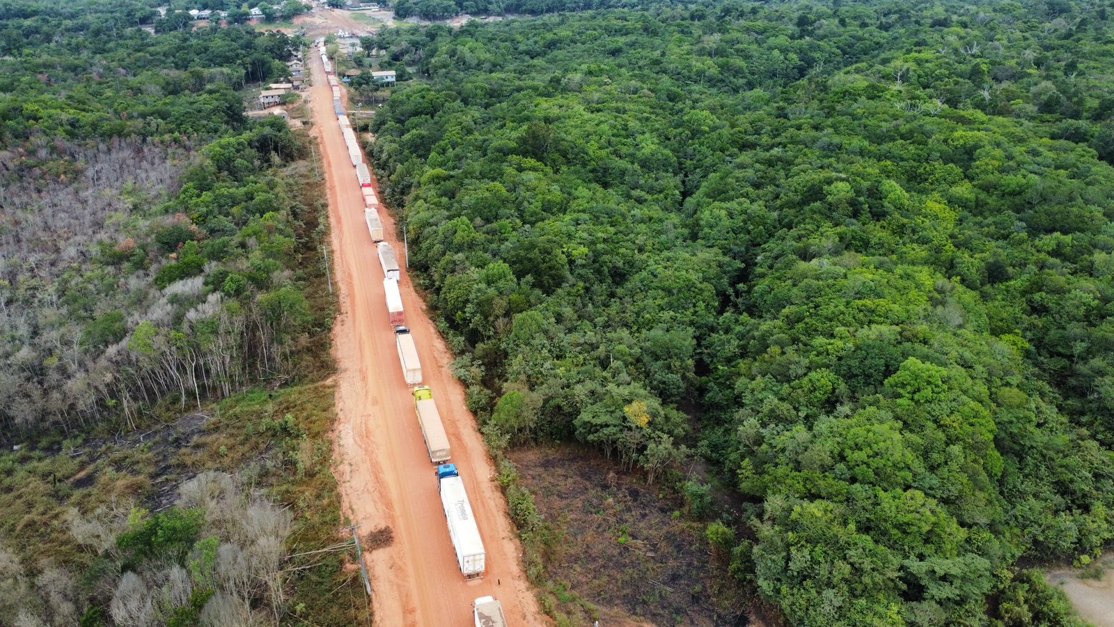 BR-319: Vereadores criam frente em defesa da rodovia. Revista Science pressiona contra pavimentação